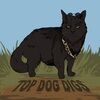 tdd_max